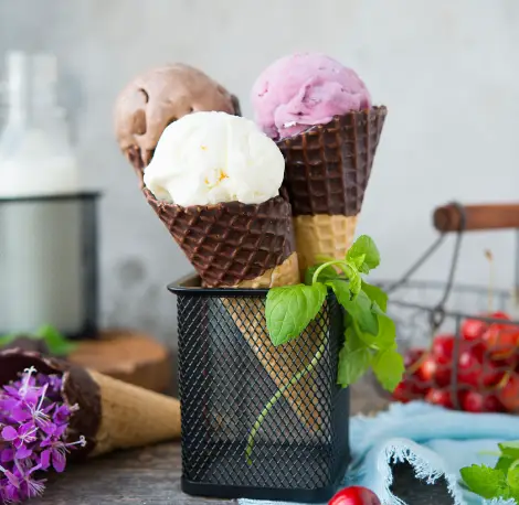 Dairy Free